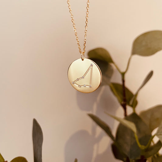 LARGE ZODIAC COIN necklace