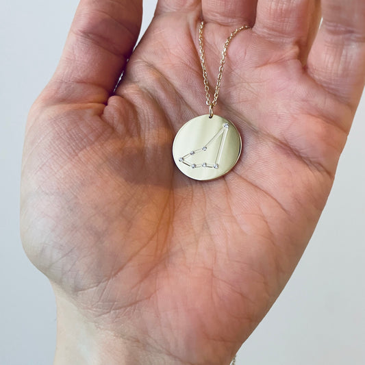 LARGE ZODIAC COIN necklace